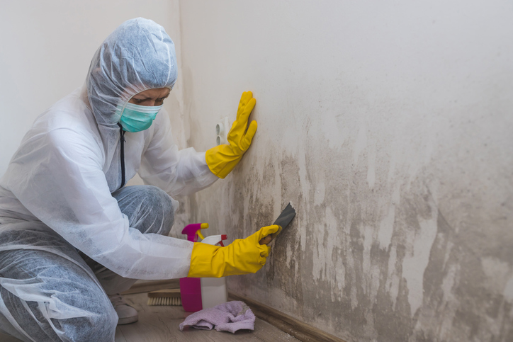 worker-of-cleaning-service-removes-mold